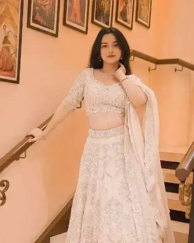 Escort Nilokheri